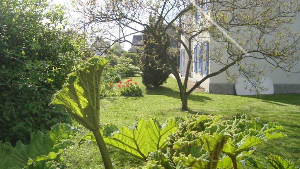 La Maison Claire Longueville  Exterior foto